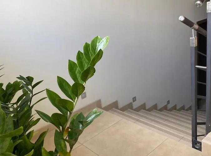 Na Wczasowej W Sztutowie Pansiyon Sztutowo